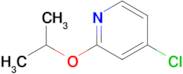4-Chloro-2-propan-2-yloxypyridine