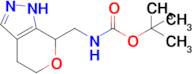 tert-butyl N-({1H,4H,5H,7H-pyrano[3,4-c]pyrazol-7-yl}methyl)carbamate