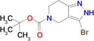 Tert-butyl 3-bromo-2H,4H,5H,6H,7H-pyrazolo[4,3-c]pyridine-5-carboxylate