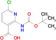 2-Boc-amino-6-chloro-nicotinic acid