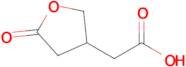 Tetrahydro-5-oxo-3-furanacetic acid
