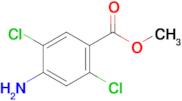 Methyl 4-amino-2,5-dichlorobenzoate