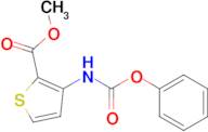 Methyl 3-((phenoxycarbonyl)amino)thiophene-2-carboxylate