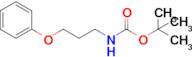 tert-Butyl (3-phenoxypropyl)carbamate