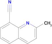 2-Methylquinoline-8-carbonitrile