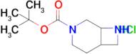 tert-Butyl 3,8-diazabicyclo[4.2.0]octane-3-carboxylate hydrochloride