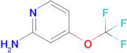 4-(Trifluoromethoxy)pyridin-2-amine