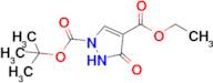 1-tert-butyl 4-ethyl 3-oxo-2,3-dihydro-1H-pyrazole-1,4-dicarboxylate