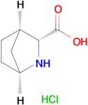 (1S,3R,4R)-2-Azabicyclo[2.2.1]heptane-3-carboxylic acid hydrochloride