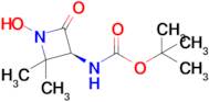 tert-Butyl N-[(3S)-1-hydroxy-2,2-dimethyl-4-oxoazetidin-3-yl]carbamate