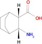 (2S,3R)-3-Aminobicyclo[2.2.2]octane-2-carboxylic acid