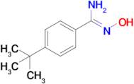 4-tert-butyl-N'-hydroxybenzene-1-carboximidamide