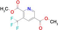 Dimethyl 3-(trifluoromethyl)pyridine-2,5-dicarboxylate