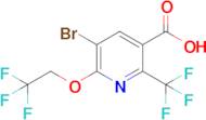 5-Bromo-6-(2,2,2-trifluoroethoxy)-2-(trifluoromethyl)nicotinic acid