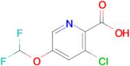 3-Chloro-5-(difluoromethoxy)pyridine-2-carboxylic acid