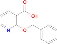 2-Benzyloxynicotinic acid