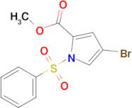 methyl 4-bromo-1-(phenylsulfonyl)-1H-pyrrole-2-carboxylate