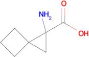 1-Aminospiro[2.3]hexane-1-carboxylic acid