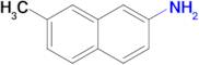 7-Methylnaphthalen-2-amine