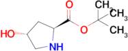 tert-Butyl (2S,4R)-4-hydroxypyrrolidine-2-carboxylate