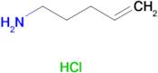 Pent-4-en-1-amine hydrochloride