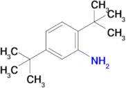 2,5-Di-tert-butylaniline