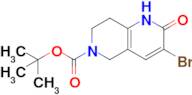 tert-Butyl 3-bromo-2-oxo-1,5,7,8-tetrahydro-1,6-naphthyridine-6(2H)-carboxylate