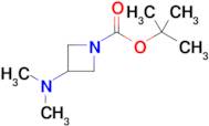 tert-Butyl 3-(dimethylamino)azetidine-1-carboxylate