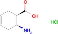 (1R,6S)-6-Aminocyclohex-3-enecarboxylic acid hydrochloride
