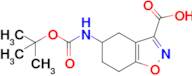 5-((tert-Butoxycarbonyl)amino)-4,5,6,7-tetrahydrobenzo[d]isoxazole-3-carboxylic acid