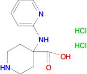 4-(Pyridin-2-ylamino)piperidine-4-carboxylic acid dihydrochloride