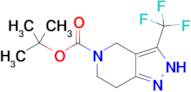 tert-butyl 3-(trifluoromethyl)-2H,4H,5H,6H,7H-pyrazolo[4,3-c]pyridine-5-carboxylate