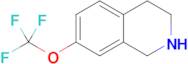 7-(Trifluoromethoxy)-1,2,3,4-tetrahydroisoquinoline