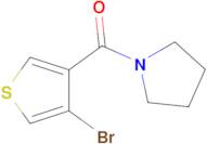 (4-Bromothiophen-3-yl)(pyrrolidin-1-yl)methanone