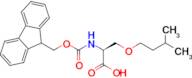 (S)-2-((((9H-Fluoren-9-yl)methoxy)carbonyl)amino)-3-(isopentyloxy)propanoic acid