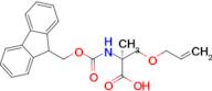 (S)-2-((((9H-Fluoren-9-yl)methoxy)carbonyl)amino)-3-(allyloxy)-2-methylpropanoic acid