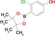 3-Chloro-4-(4,4,5,5-tetramethyl-1,3,2-dioxaborolan-2-yl)phenol