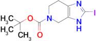 tert-butyl 2-iodo-3H,4H,5H,6H,7H-imidazo[4,5-c]pyridine-5-carboxylate