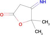 4-imino-5,5-dimethyloxolan-2-one