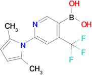 (6-(2,5-Dimethyl-1H-pyrrol-1-yl)-4-(trifluoromethyl)pyridin-3-yl)boronic acid