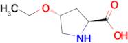 (2S,4R)-4-Ethoxypyrrolidine-2-carboxylic acid