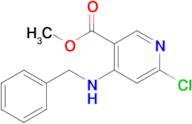 Methyl 4-(benzylamino)-6-chloronicotinate