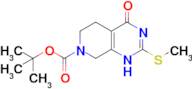 tert-butyl 2-(methylsulfanyl)-4-oxo-1H,4H,5H,6H,7H,8H-pyrido[3,4-d]pyrimidine-7-carboxylate