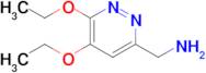 (5,6-Diethoxypyridazin-3-yl)methanamine