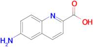 6-Aminoquinoline-2-carboxylic acid