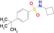 4-(tert-Butyl)-N-cyclobutylbenzenesulfonamide