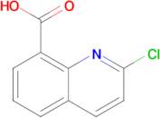 2-Chloroquinoline-8-carboxylic acid