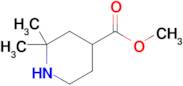 Methyl 2,2-dimethylpiperidine-4-carboxylate