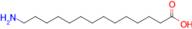 14-Aminotetradecanoic acid