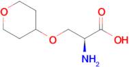 O-(Tetrahydro-2H-pyran-4-yl)-L-serine